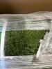 Carpet racer, SERTA, husky bedliner Ford F150, umbrella, & More - 7