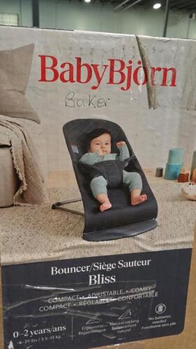 Baby BJORN seat, mattress, misc furniture , sack style chair, & More
