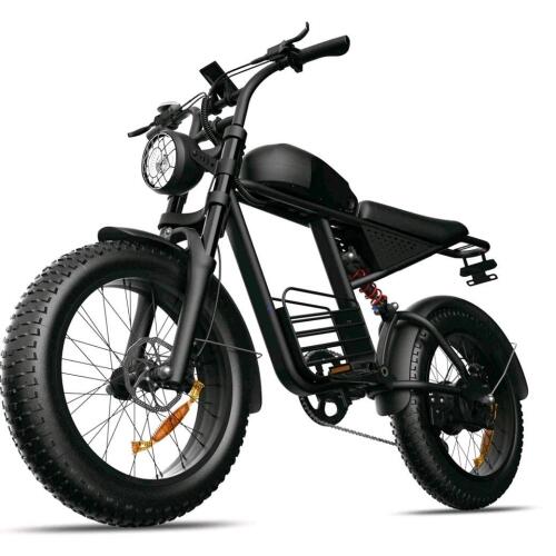 FX 20 E bike