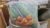 Rug, mouse, blanket, SOLPLA, storage tote, blanket, canine cruiser, & More