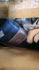 Coleman cooler, lids, towel, folding chairs, garden STAKES, lifetime folding table, bath mat, & More - 6