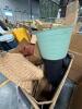 Rug, basket, garbage can, garden gnome, towels, & More - 7