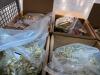 Miscellaneous ammunition bulk shotgun, 45 auto, & More - 3