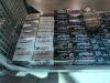 Shelf of 12 gauge shotgun and 28 gauge - 3