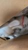 HVAC tubing, patio furniture, cat tree, crate item bunny banks, & More - 6