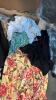 Lot 66 high-end clothing, including multiple Zimmerman dresses, Halle Hansen, ski bibs, multiple Watson, denim and pants, SACAI pants, WILLYCHAVARRIA New York, BALMAIN denim Paris, rod and gun sweater, Carhartt multiples, multiple Z supply clothing, PacSu - 67