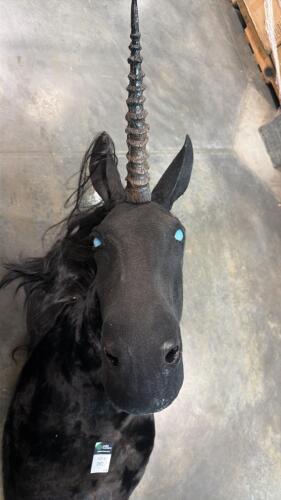 Black unicorn mount