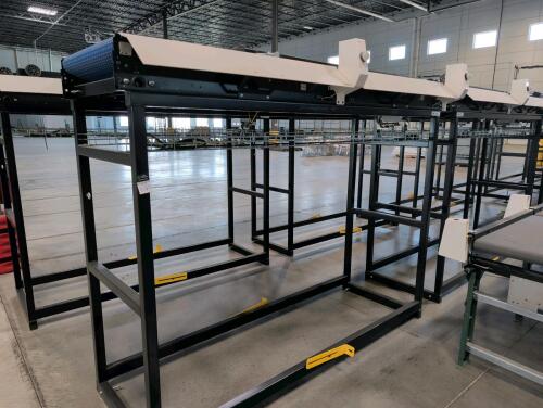 (2) ATR Rollerball sorter with convey link modular units