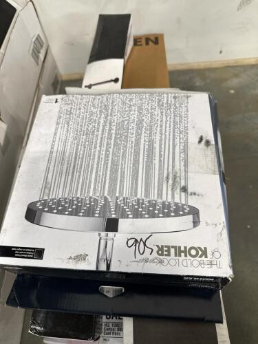 Moen transfer shower, decorative grab bars, Kohler showerhead