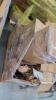 YAHEETECH, Lighting fixture, tent, GYM equipment, calipers, & More - 2