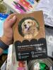 Hose, black curtains, undergarments, plushy, passage door locks, hello Kitty, dog collars, snorkel masks, BENTGO, & More - 8