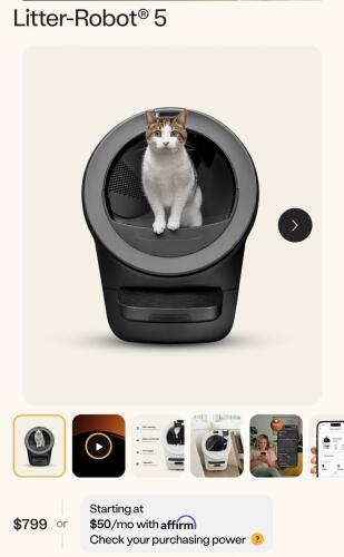 Whisker robot five
