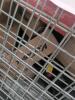 Industrial/automotive, clutch kit, weight, pipe holder, tubing, underlayment, & More - 4