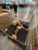 Industrial/automotive, Dolly, hoist, tires, suspension, & More - 7
