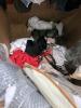 Some nicer clothing(approximately 158 pieces): Michael Kors, lounge, MARANT, Alpine stars, skidoo KANUK, Banana Republic, hello Molly, Untuckit, Lulu, Pendleton, kids world USA, Polo, lands end, multiple sweatshirts old miss, Ted Baker ties, multiple stra - 16