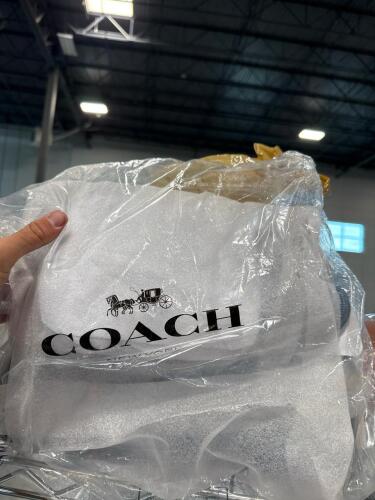 Handbags coach, Michael Kors, Valentino belt, coach dinosaur