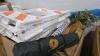 Barrier, olive tree, umbrella, chair, volleyball set, kids chair, towels, yarn, fan, canopy, film, & More - 2