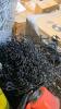 Industrial/automotive, gate, pallet jack chain-link, gold rod, welded wire Fencing, racking, & More - 5