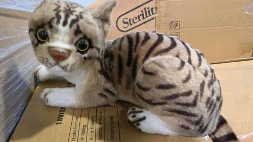 Kitty, storage breastmilk bottles, chair, spam, language arts learning, coffee machine, & More