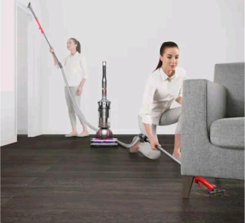 Dyson ball animal 3
