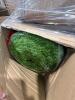 Plushy key chain, step flashing kit, cushions , turf , mattress, and more - 2