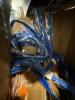 Garbage cans, cold cups, bench, garden bed, flowers, blue straps, & More - 6