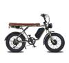 S1 Max E bike