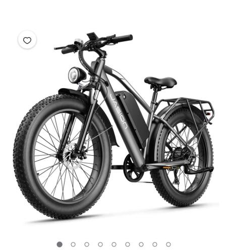 JASION EB5 max E bike