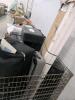 Displays, hard travel cases, canopy piece, & More - 5