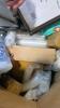 Frames, bedding, grill,Small cups, hangers, light bulbs, nxt women's belt, books, portable breastmilk cooler copy paper comma PS five games, hose, survival bracelets, & More - 11