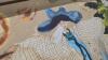 Blue eyes snake woman art, 88431&ndash;0029 - 3