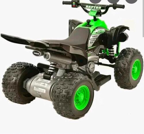 Yamaha raptor 700R ride on, chassis parts control arm, white hall, toilet, tie down item and more