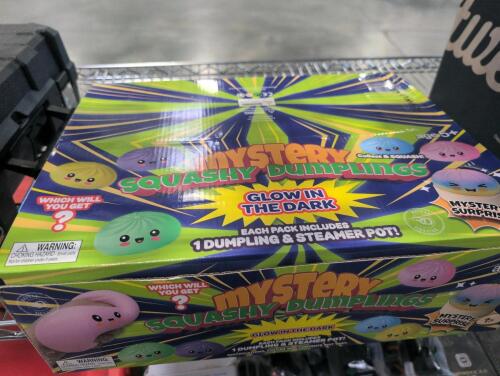 Box of mystery squishy dumplings
