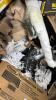 Industrial/automotive, foundation vent, MOOG, Monroe, car parts, max speeding rods, & More - 5