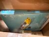 Cat box, gloves, ninja blender, hose, Harry Potter, plushies and more - 4