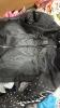 Clothing: shoes, Amazon style clothing hats, fashion Jeans sweatshirts, PFR New York, fierce, DRUIDS, T-shirts, & More - 14