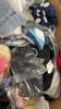 Miscellaneous clothing, Amazon style clothing, hat, shirts, T-shirts, sweatshirts, shoes, and more - 8