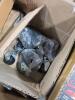 Industrial/automotive, blower motor, brake rotor, Car parts, battery, & More - 7