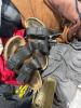 Clothing: Calvin Klein, PlayStation shirt, some used items, JAQUEMUS, pajamas, FABIO RUSCONI, Old Navy, American Eagle, athletic, dungeons and dragons, style we, & More - 8