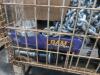Industrial/automotive, car parts, chains, safety triangle, NSK, material, & More - 3