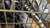 Troyhill/automotive, tires, Fox suspension, strut, exhaust piece, cone bases, brake disc, & More - 7