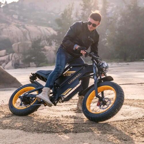 GT 20 E bike