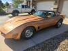 1982 Chevrolet Corvette w/ 134K Vin #1G1AY8787C5117436 | Features and notes: Clean title. Currently is not running, could be the fuel system/injector issue, has a new fuel pump and starter motor.