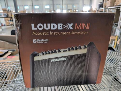 fishman loud box mini