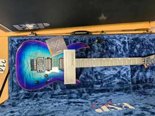D'ADDARIO esp &ndash; M2 UNTFMFRVS electric guitar