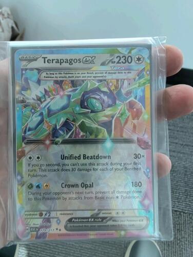 25 Pokemon Ex/V's