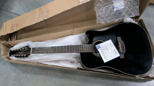 takamine 12 string guitar