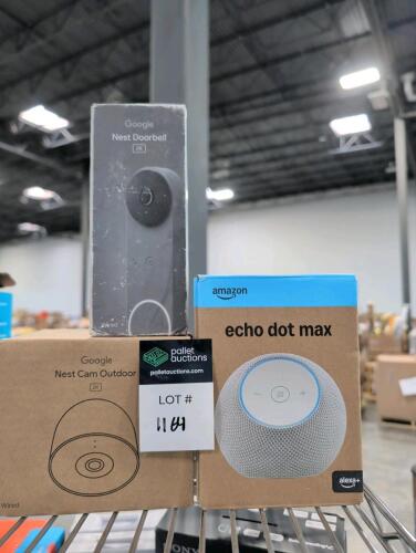 echo and nest cams