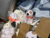 Quilt, bedding, books, small plushy dogs, emergency book, sheer knit ponchos, sheets, & More - 7