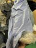 Clothing: amberjack, Skechers, GARMONT, Bruno MARK, champ pro, Converse, Lacoste, easy stride, Adidas, SOLUDOS, Fabletics, ALDO, ROTHYS, Pat, gloves, and & More - 11